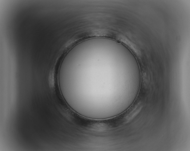 X0000101660203200807171321