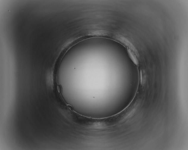 X0000101660204200807171321