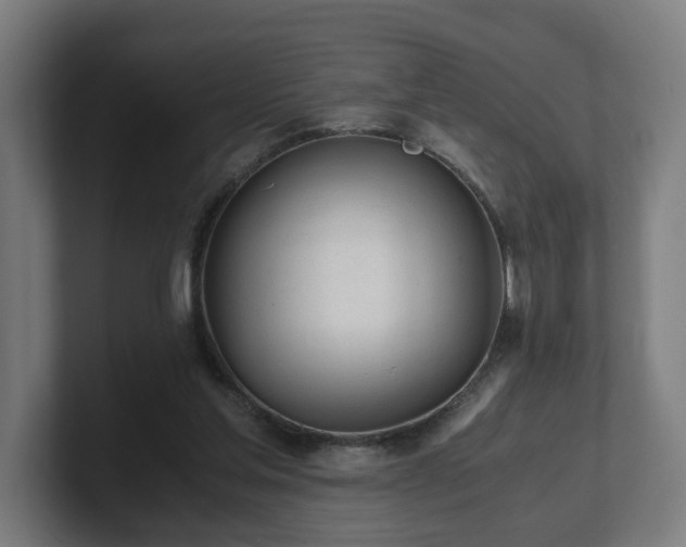 X0000101660205200807171321