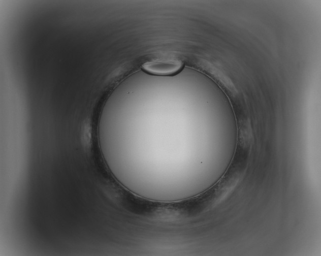 X0000101660207200807171321