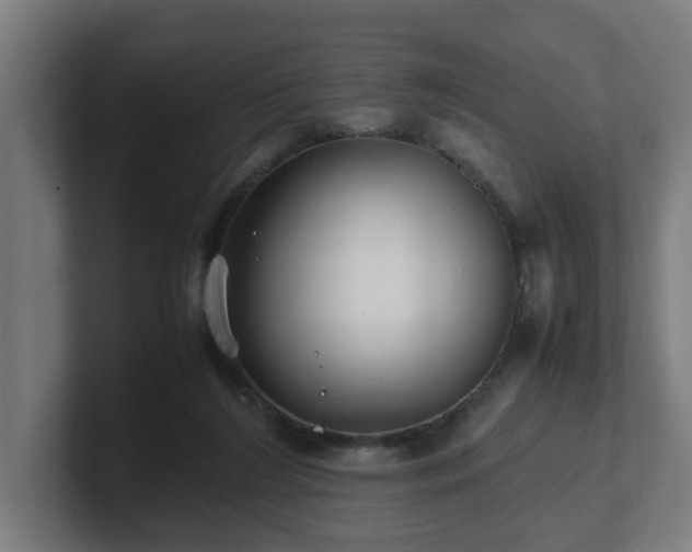 X0000101660212200807171321