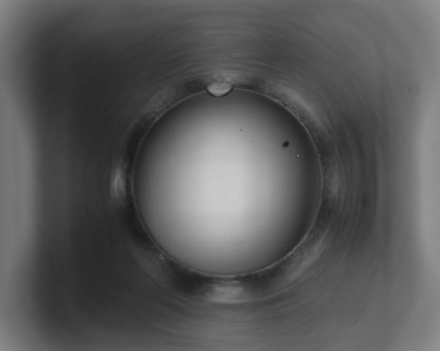 X0000101660214200807171321