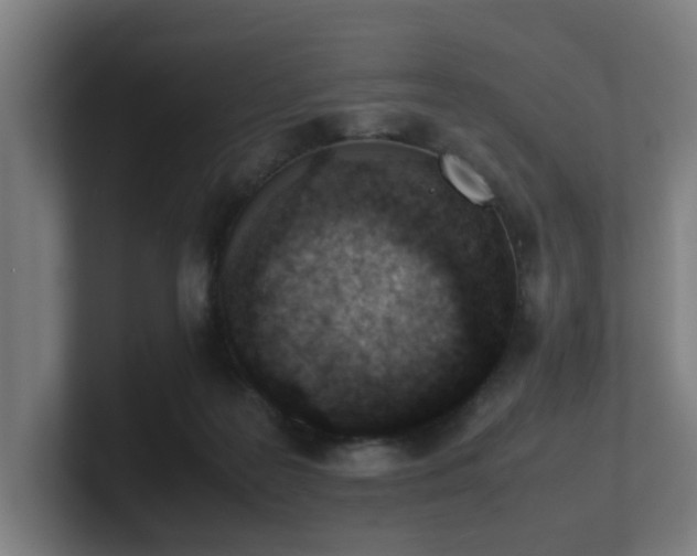 X0000101660219200807171321