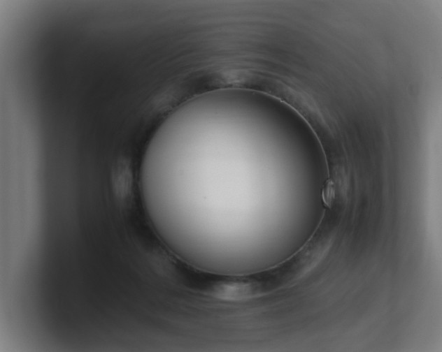 X0000101660220200807171321