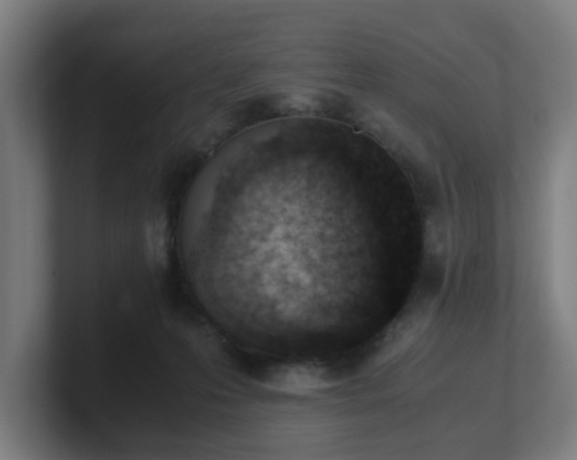 X0000101660223200807171321