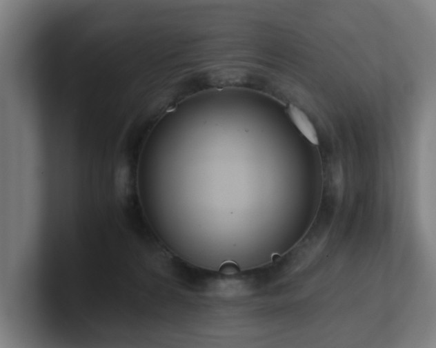 X0000101660224200807171321