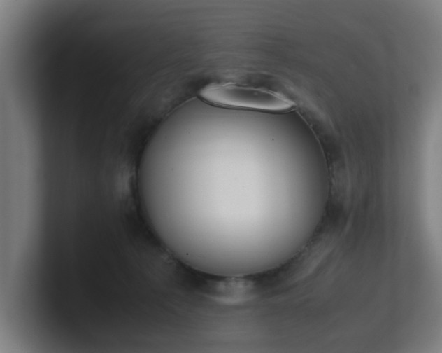 X0000101660225200807171321