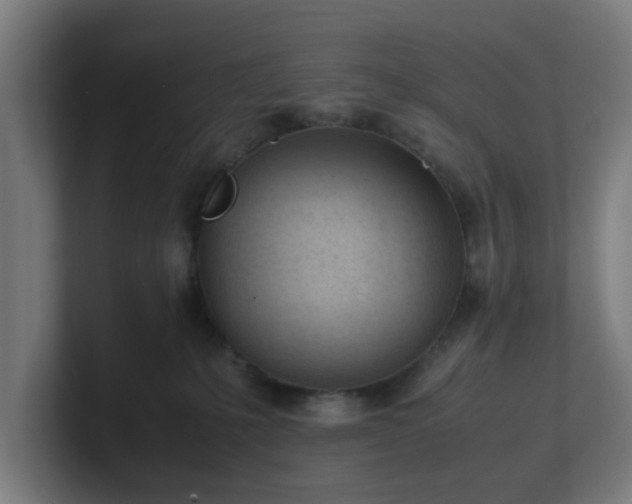 X0000101660231200807171321