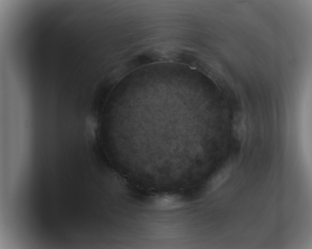 X0000101660235200807171321