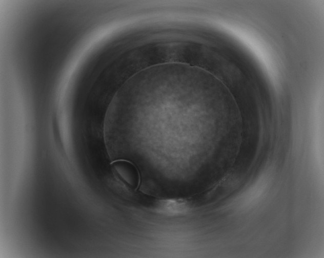 X0000101660239200807171321