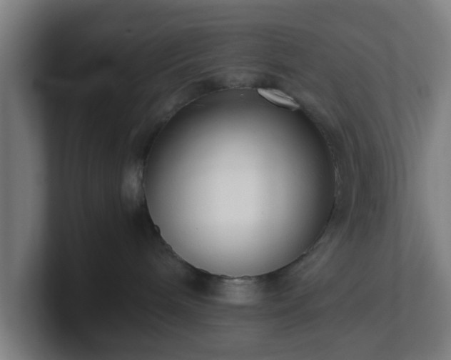 X0000101660240200807171321