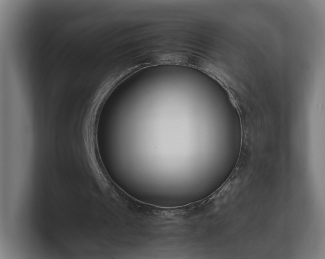 X0000101660241200807171320