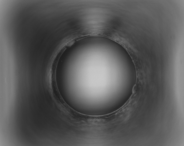 X0000101660242200807171320