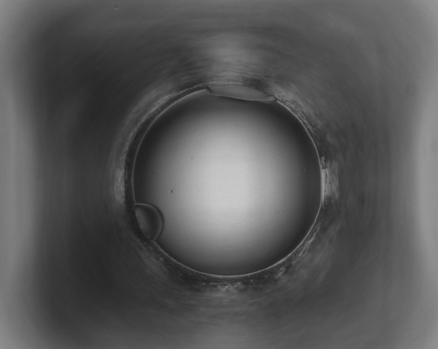 X0000101660243200807171320