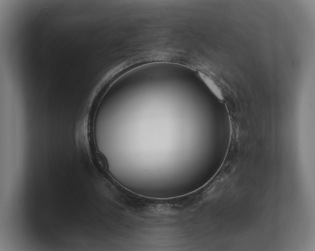 X0000101660244200807171320