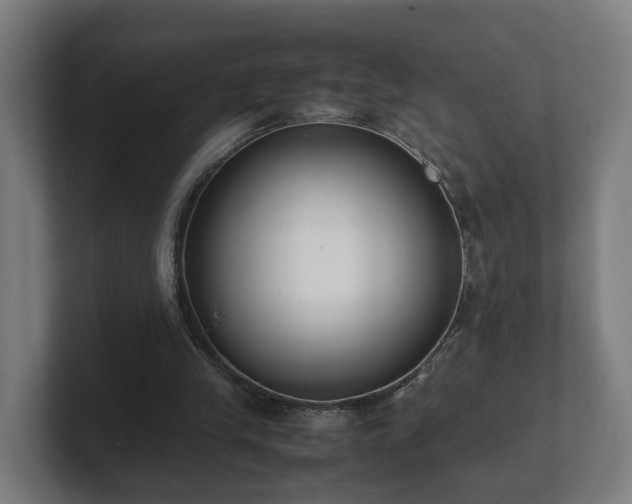 X0000101660245200807171320