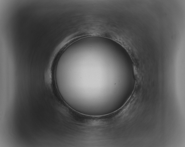 X0000101660246200807171320