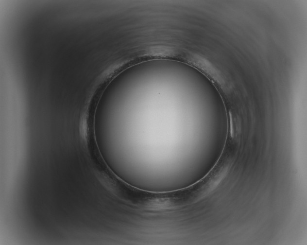 X0000101660252200807171320