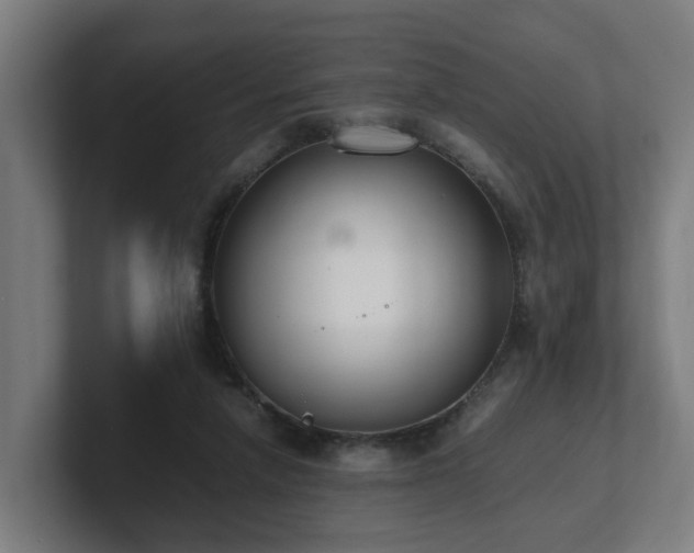 X0000101660258200807171320