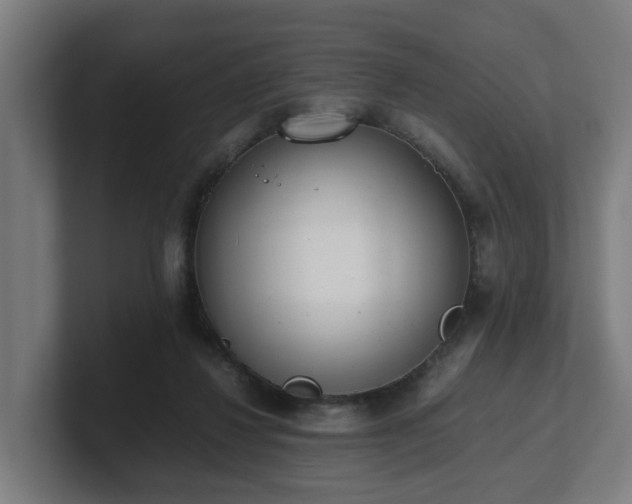 X0000101660260200807171320