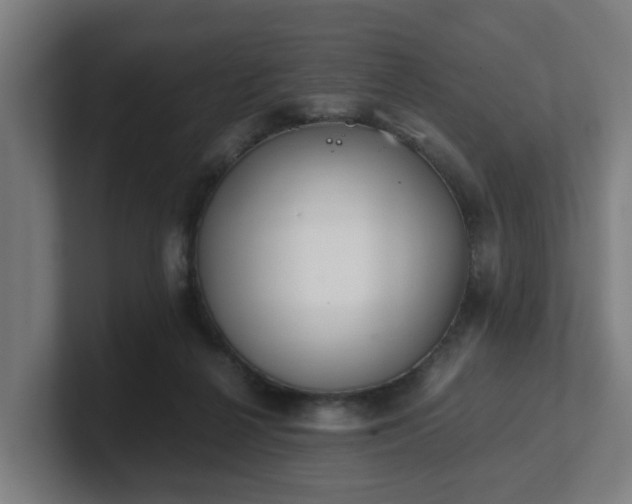 X0000101660264200807171320