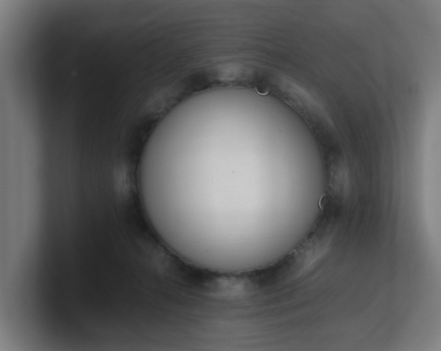 X0000101660272200807171320