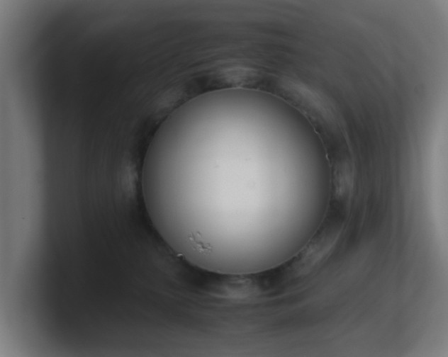 X0000101660279200807171321