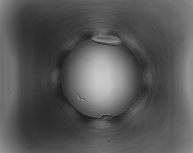 X0000101660280200807171321