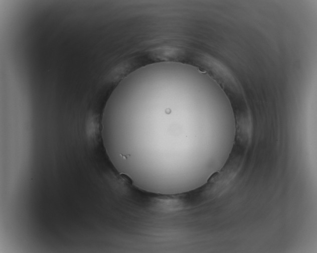 X0000101660284200807171321