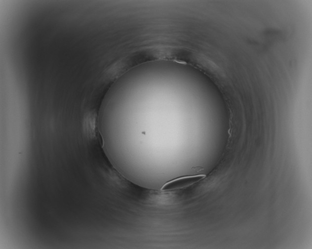 X0000101660288200807171321