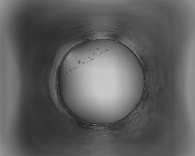 X0000101660289200807171320