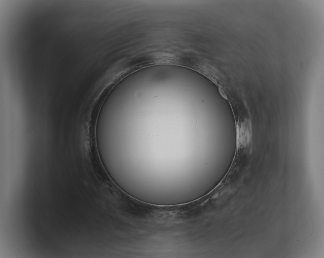 X0000101660291200807171320