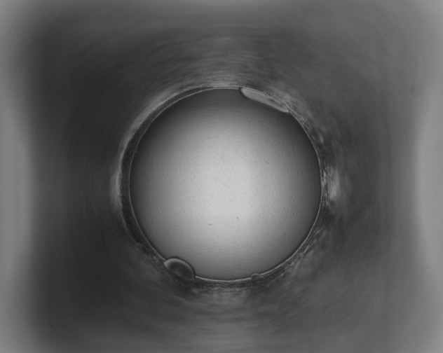 X0000101660292200807171320