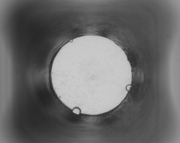 X0000101660293200807171320