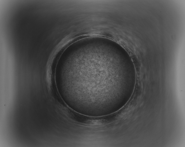 X0000101660295200807171320