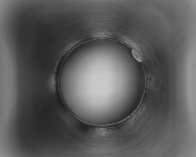 X0000101660298200807171320