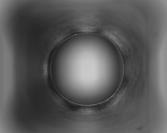 X0000101660299200807171320