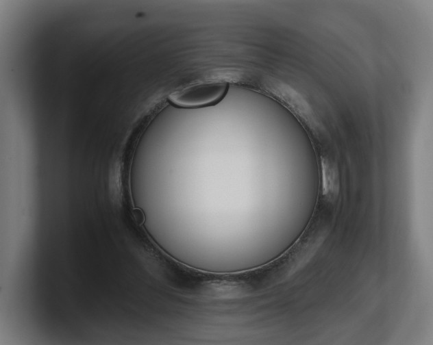 X0000101660300200807171320