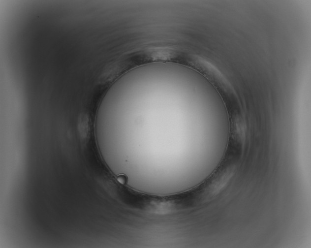 X0000101660311200807171320