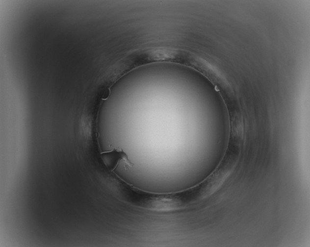 X0000101660315200807171320