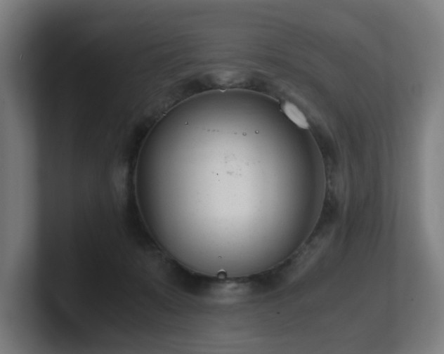 X0000101660319200807171320