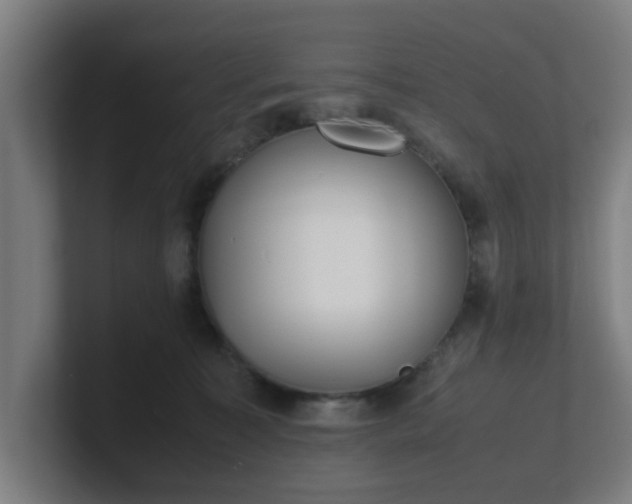 X0000101660323200807171319