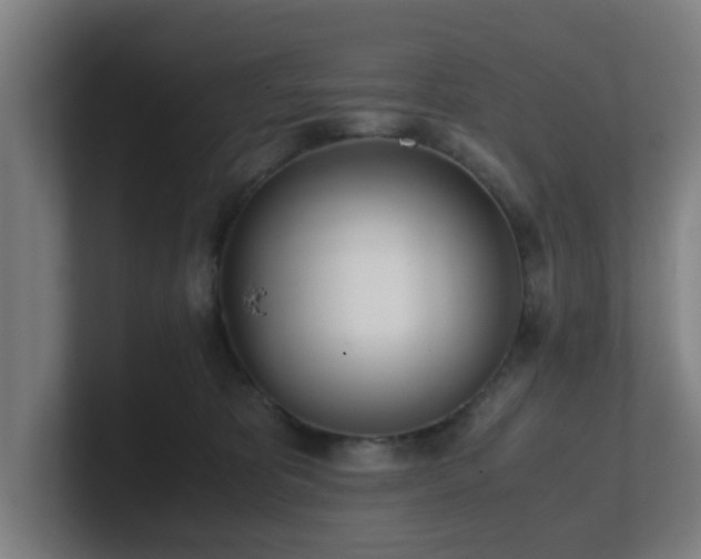 X0000101660325200807171319