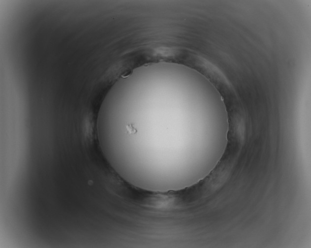 X0000101660328200807171319