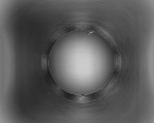 X0000101660333200807171319