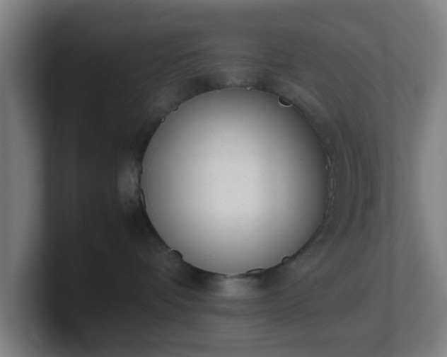 X0000101660336200807171319