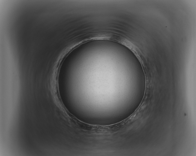 X0000101660337200807171319