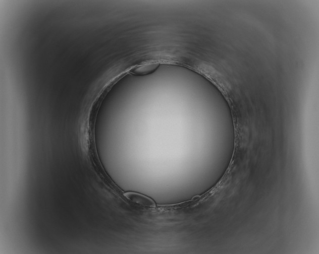 X0000101660338200807171319