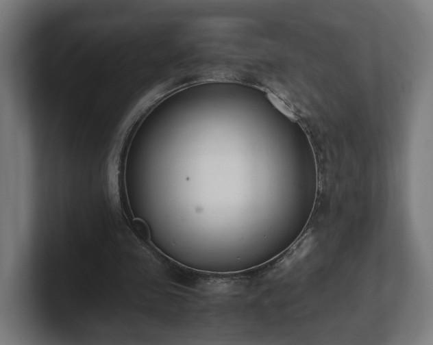 X0000101660341200807171319