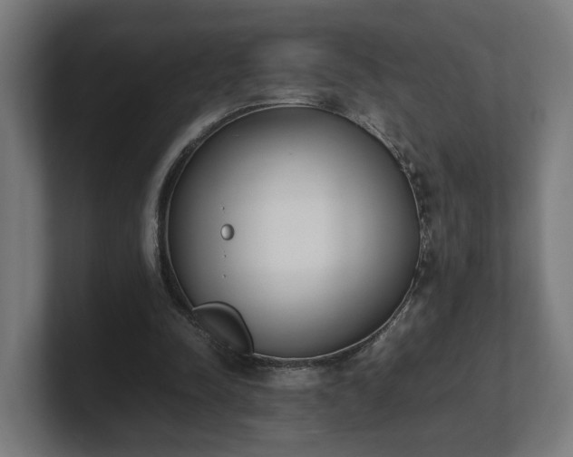 X0000101660342200807171319